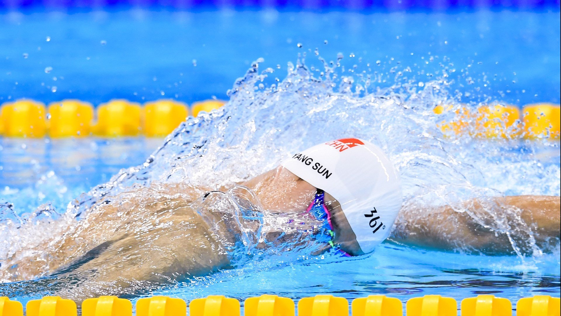 _国际马术争霸赛：优雅骑艺震撼人心_，国际马术表演